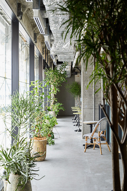 STATION LOBBY