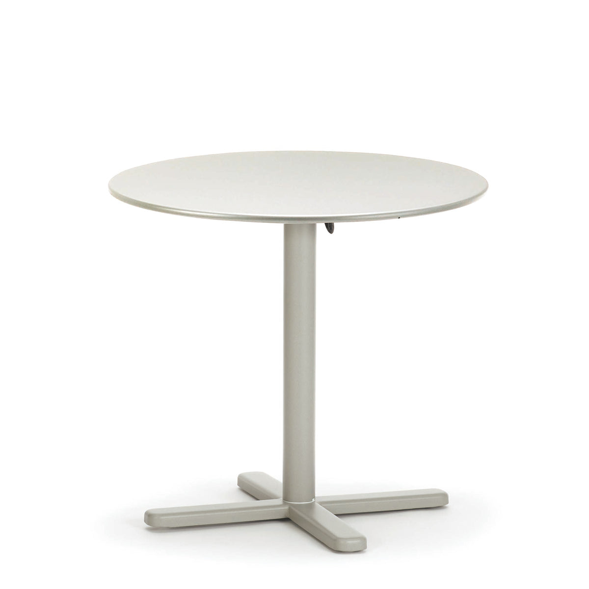 DARWIN ROUND TABLE