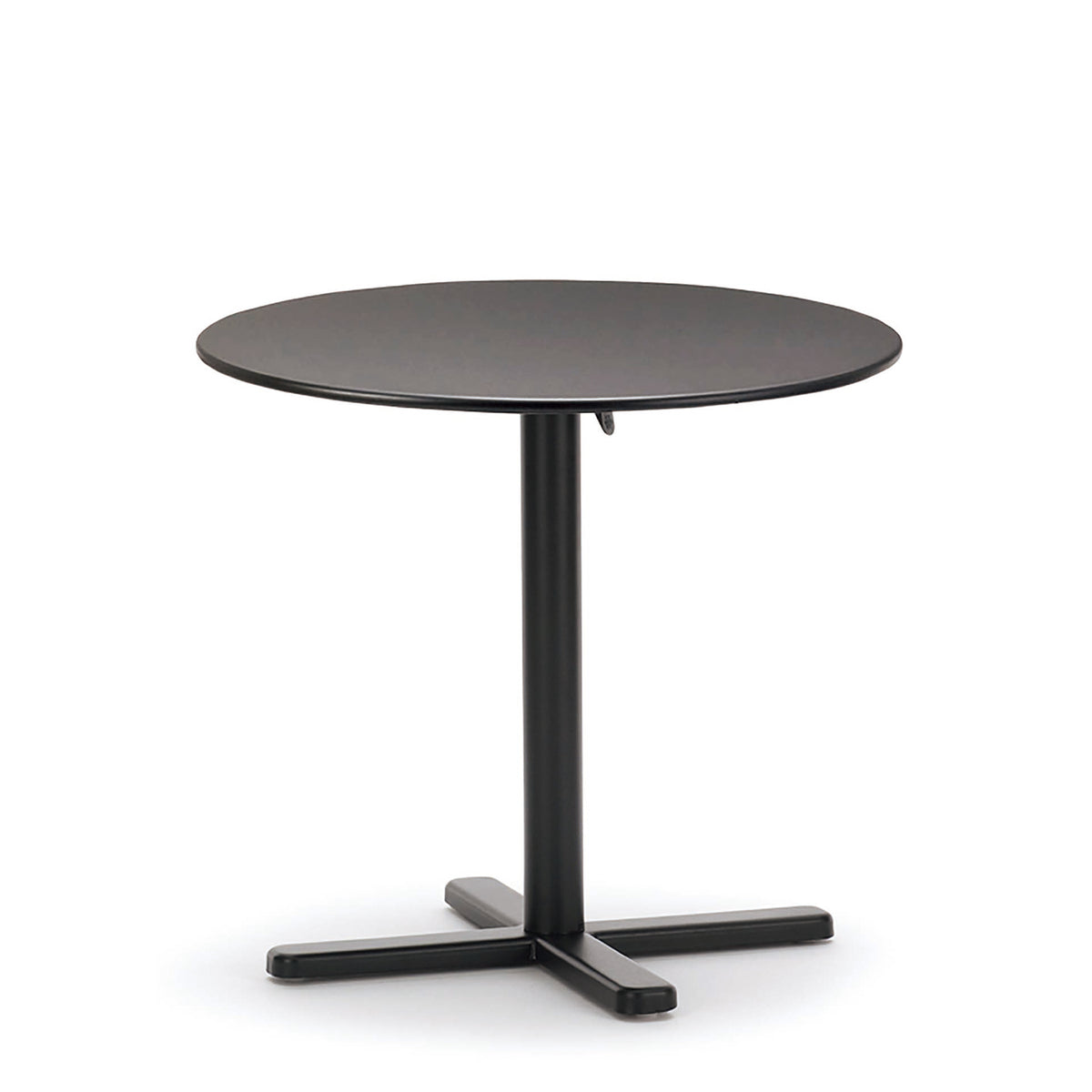 DARWIN ROUND TABLE