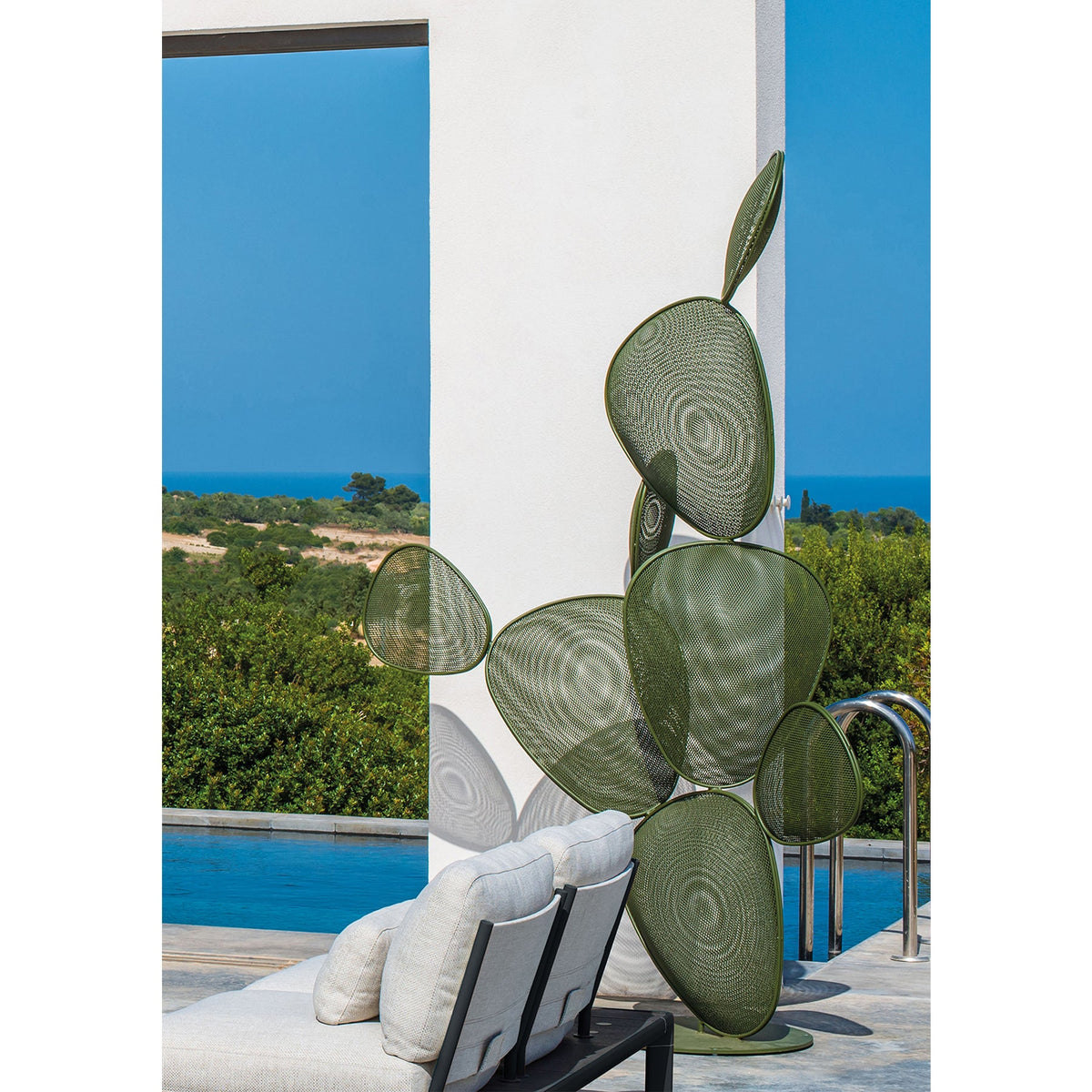 FICUS WITH FRUIT