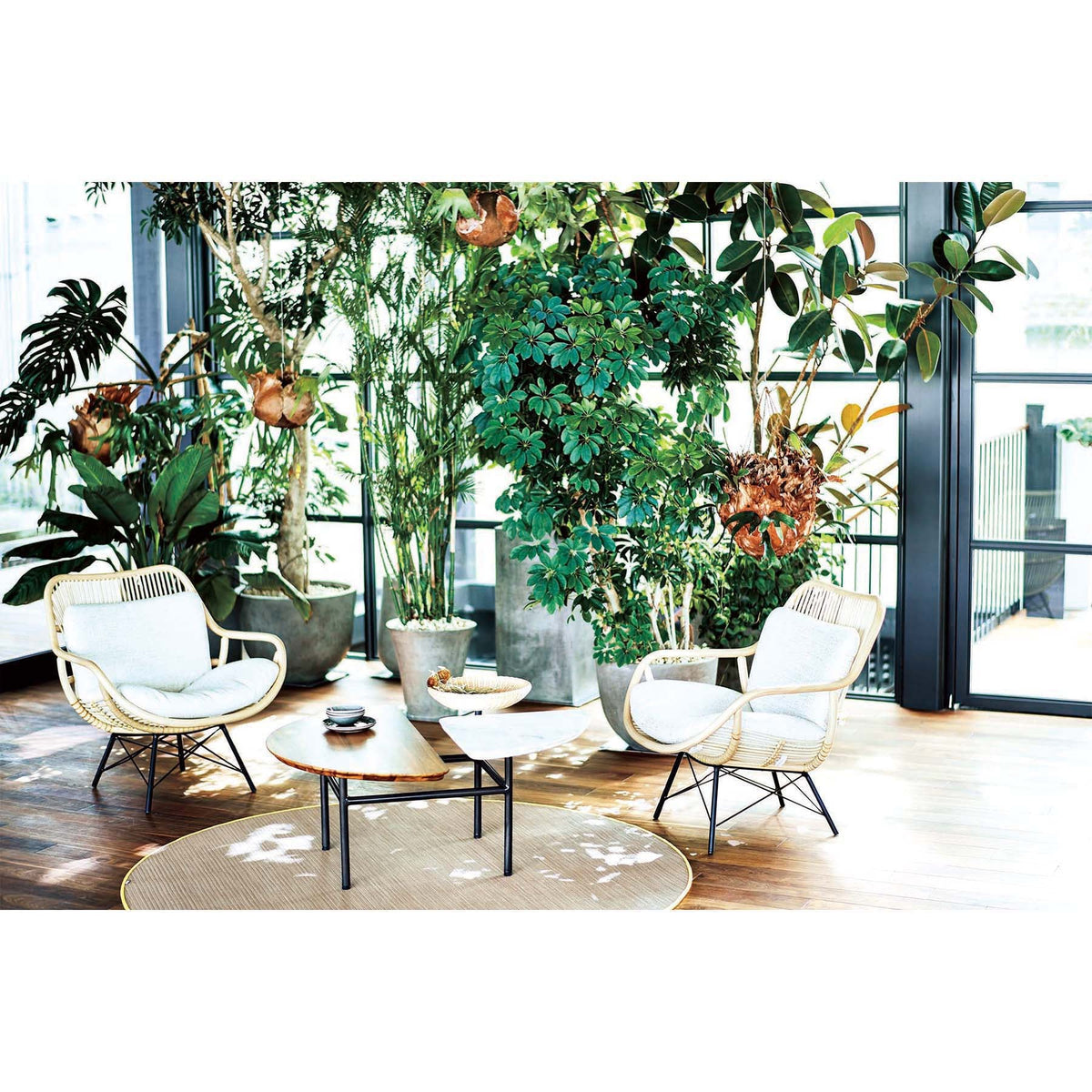 ASIENTO LOUNGE CHAIR