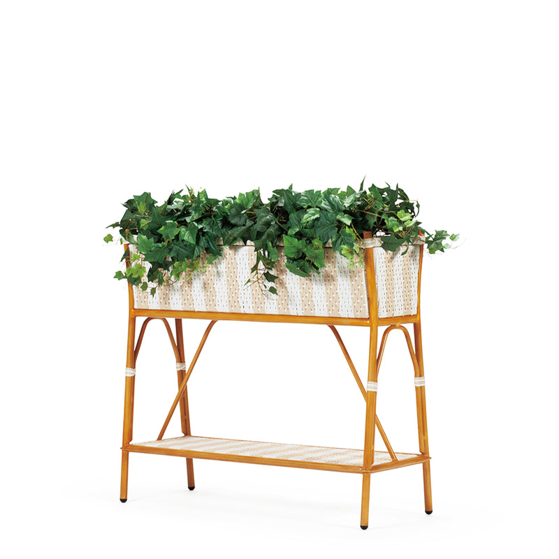 CABERNET PLANTCOVER
