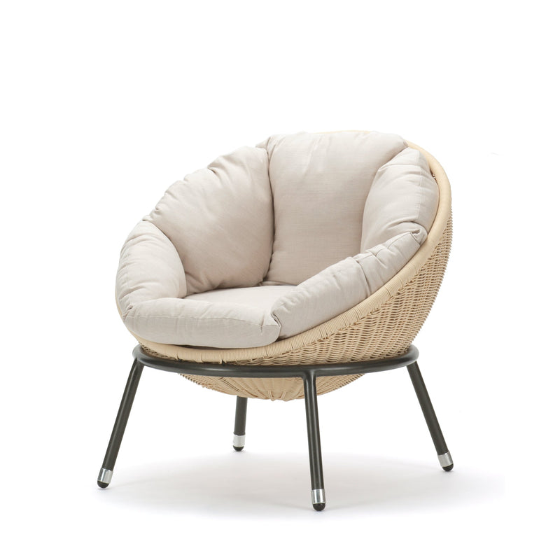 CHOMP LOWBACK CHAIR