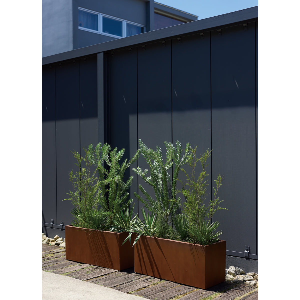 ■KNT-11 PLANTER M