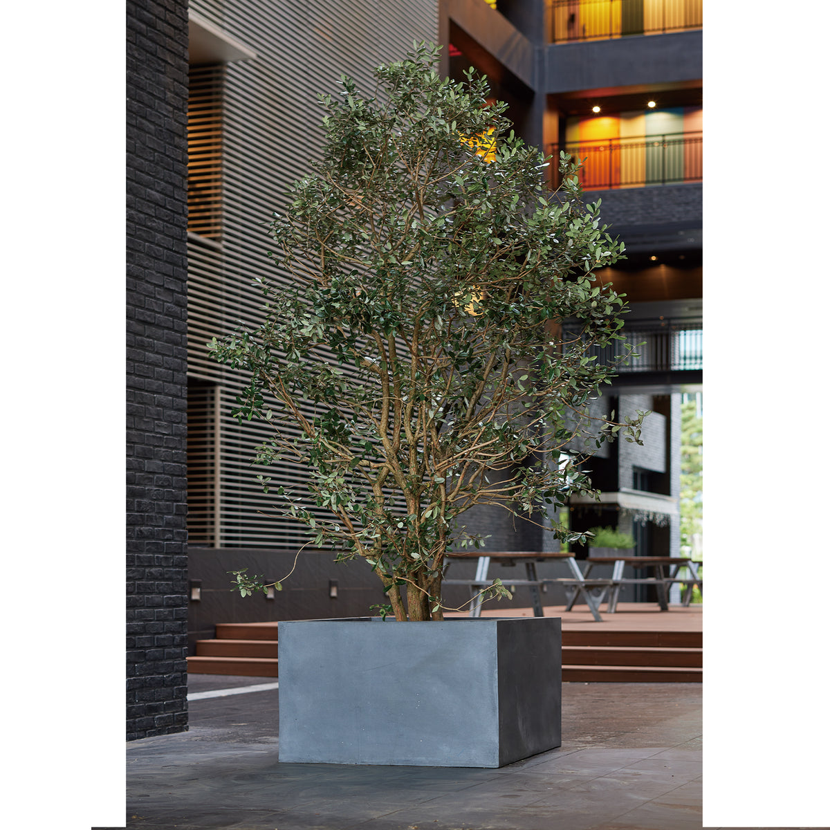 ■KNT-02 PLANTER XL