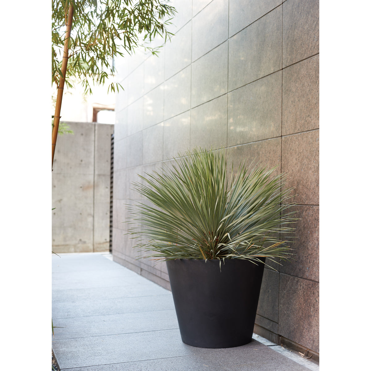 ■KNT-05 PLANTER XXL