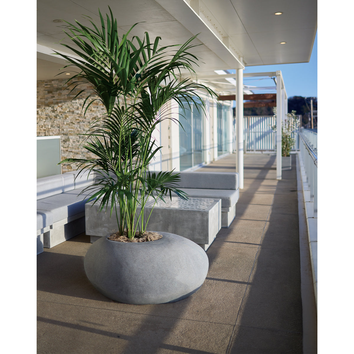 ■KNT-06 PLANTCOVER