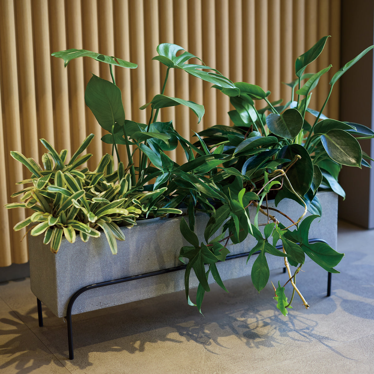 ■KNT-07 PLANTER M