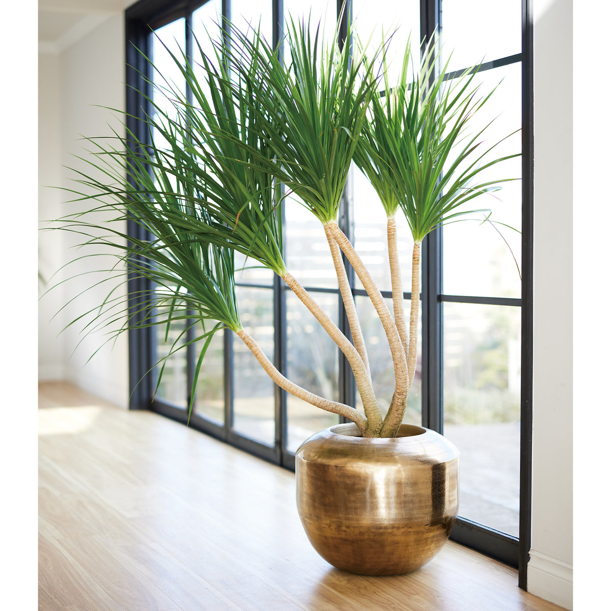 ■KNT-13 PLANTCOVER M