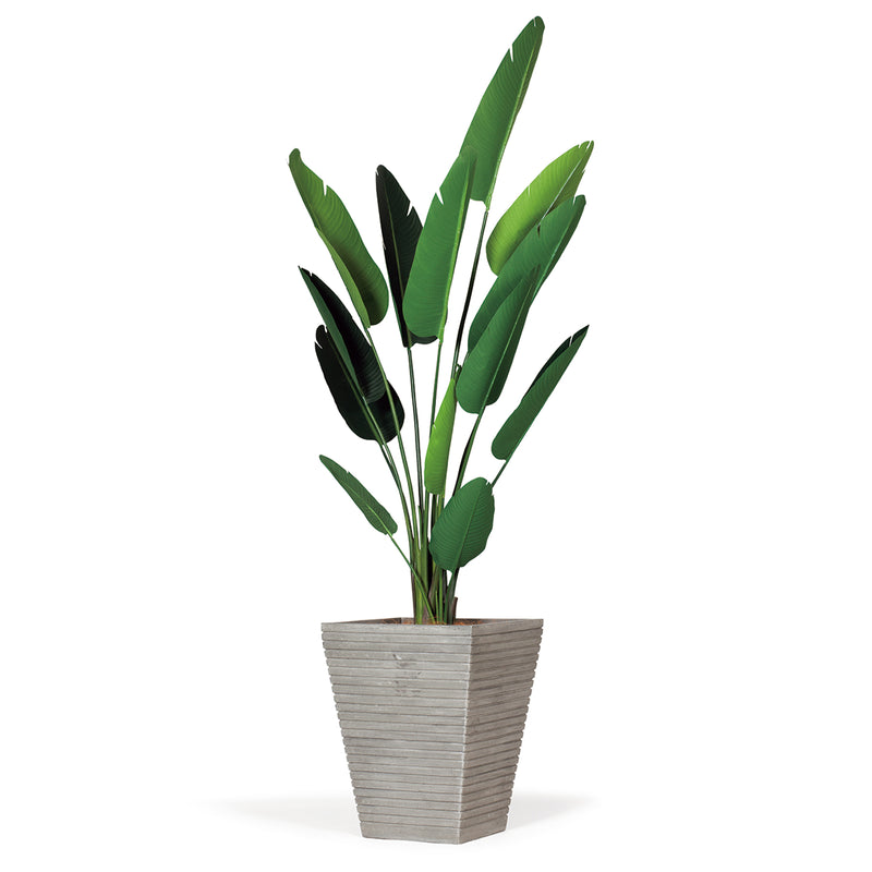 LIGNE SQUARE PLANTCOVER WITH RENT
