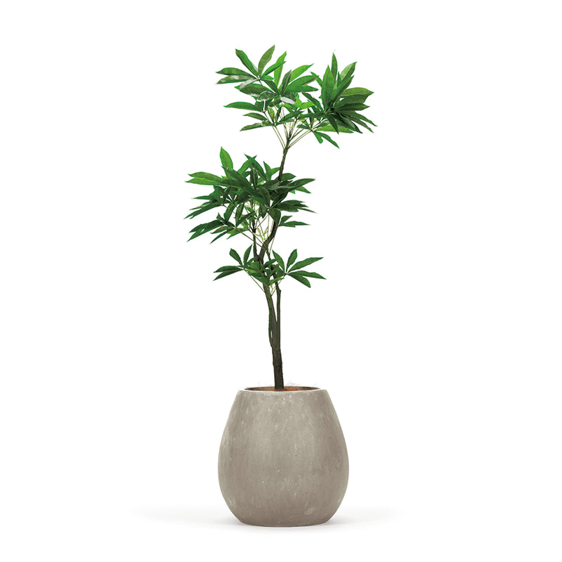 LIGNE SQUARE PLANTCOVER