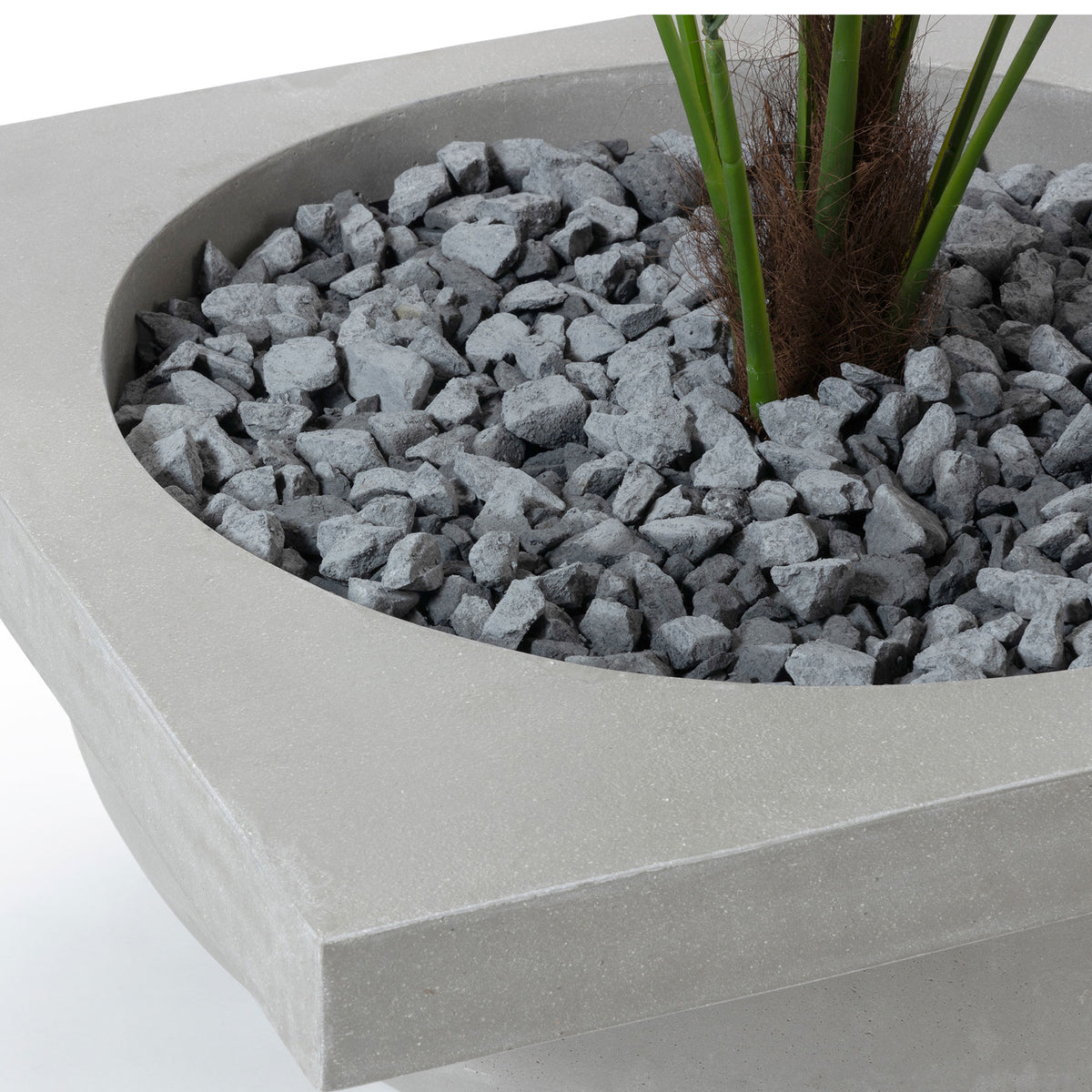 LOIZA PLANT COVER S