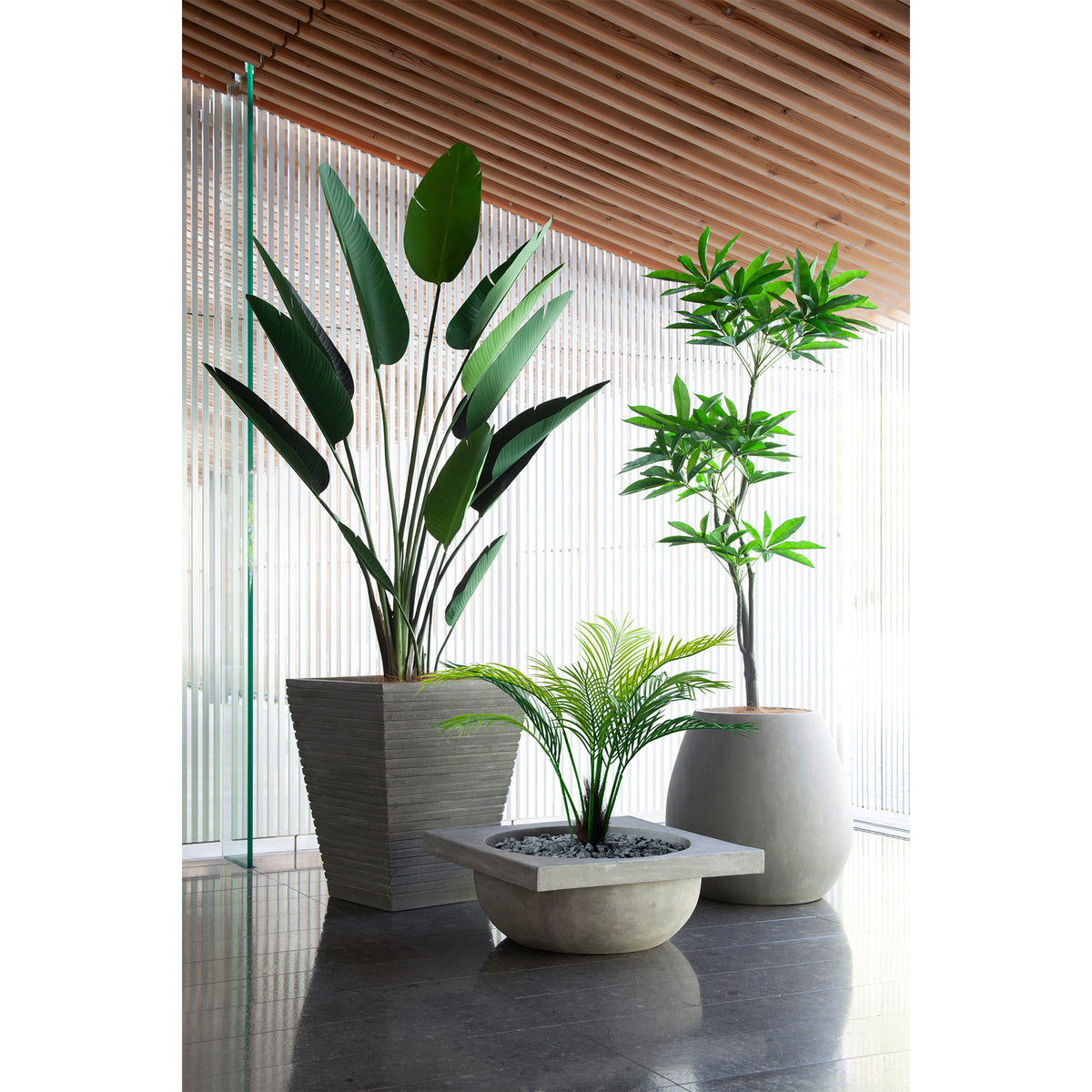LOIZA PLANT COVER S