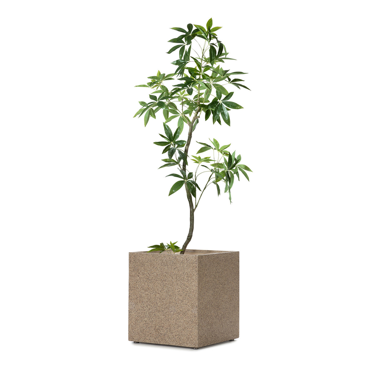 NOVA SQUARE PLANTCOVER WITH PANABA
