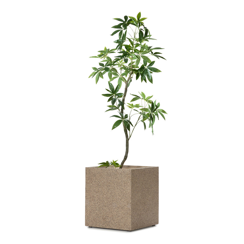 NOVA SQUARE PLANTCOVER WITH PANABA