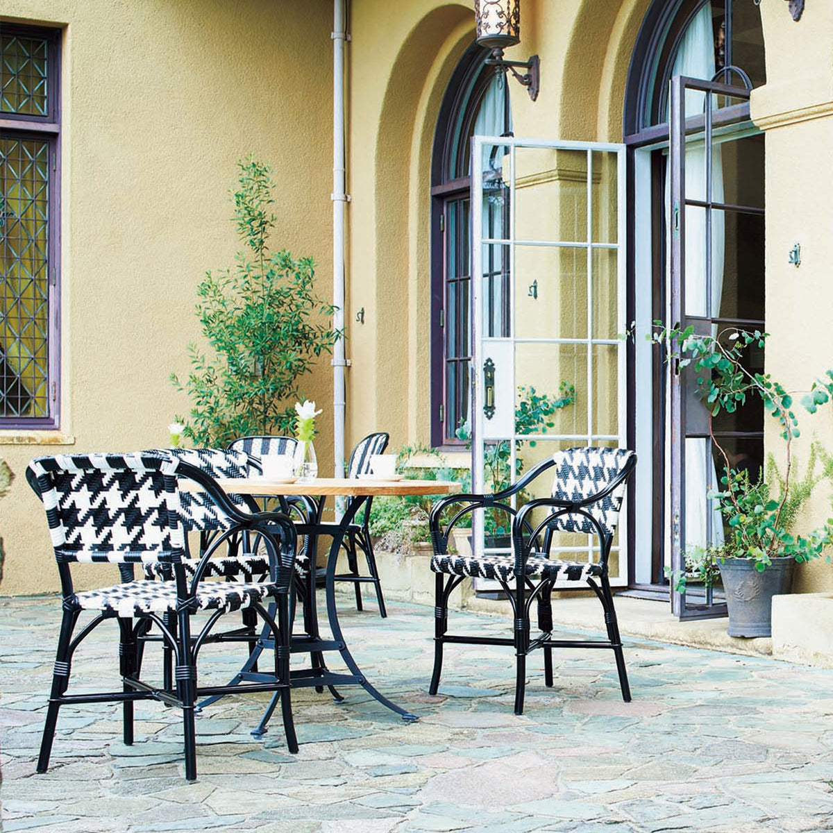 PLUVIER ARM CHAIR