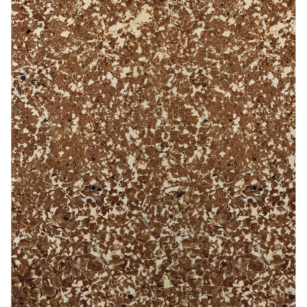STELAPOP BOARD-CARAMEL EARTH
