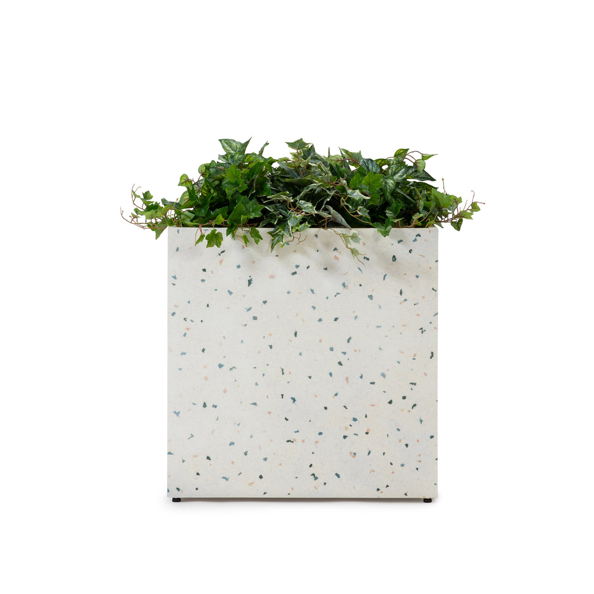FIZZ RECT PLANTCOVER WITH HEDERA