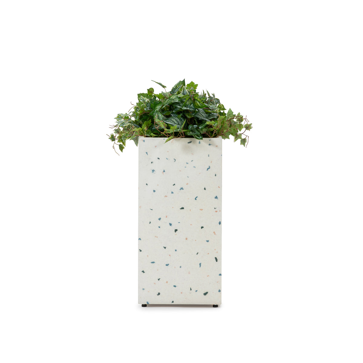FIZZ RECT PLANTCOVER WITH HEDERA