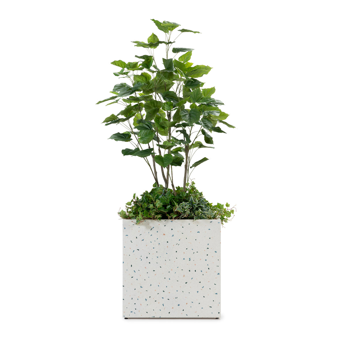 FIZZ SQUARE PLANTCOVER WITH LAGOS