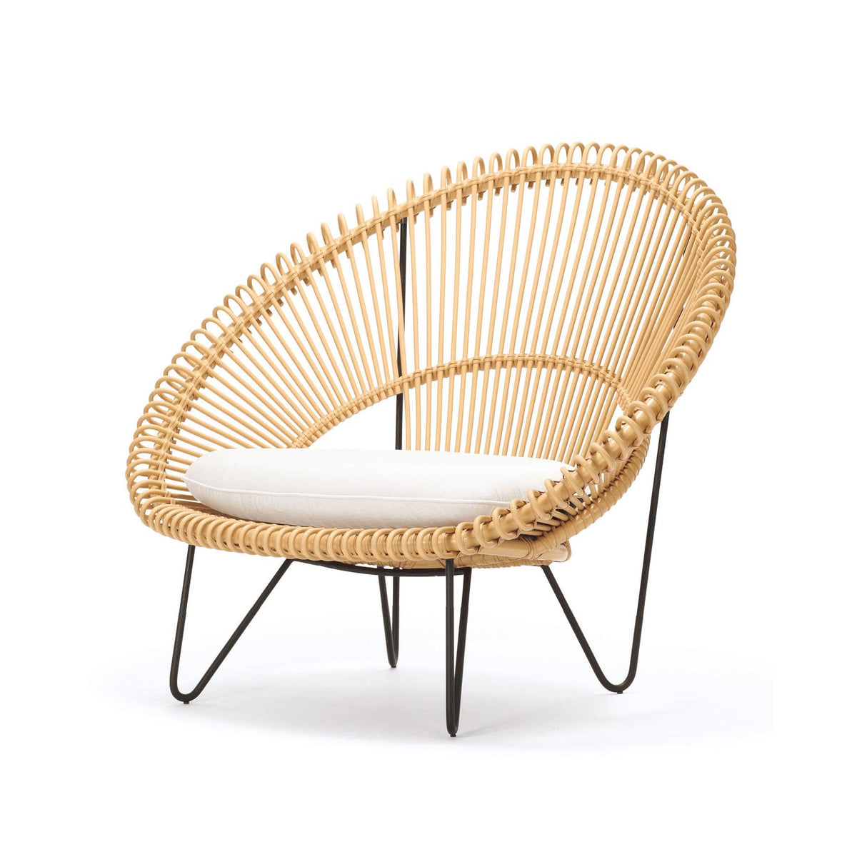 ROY COCOON CHAIR