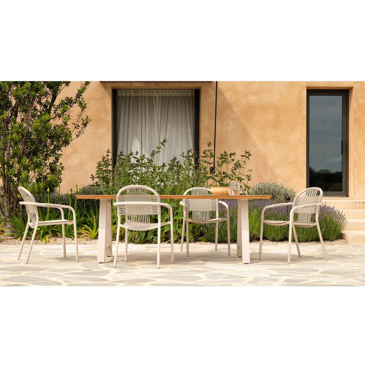 CLEO DINING CHAIR