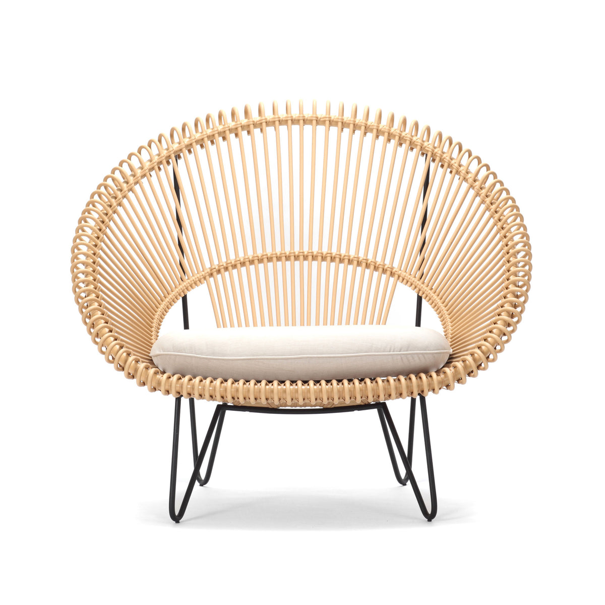 ROY COCOON CHAIR