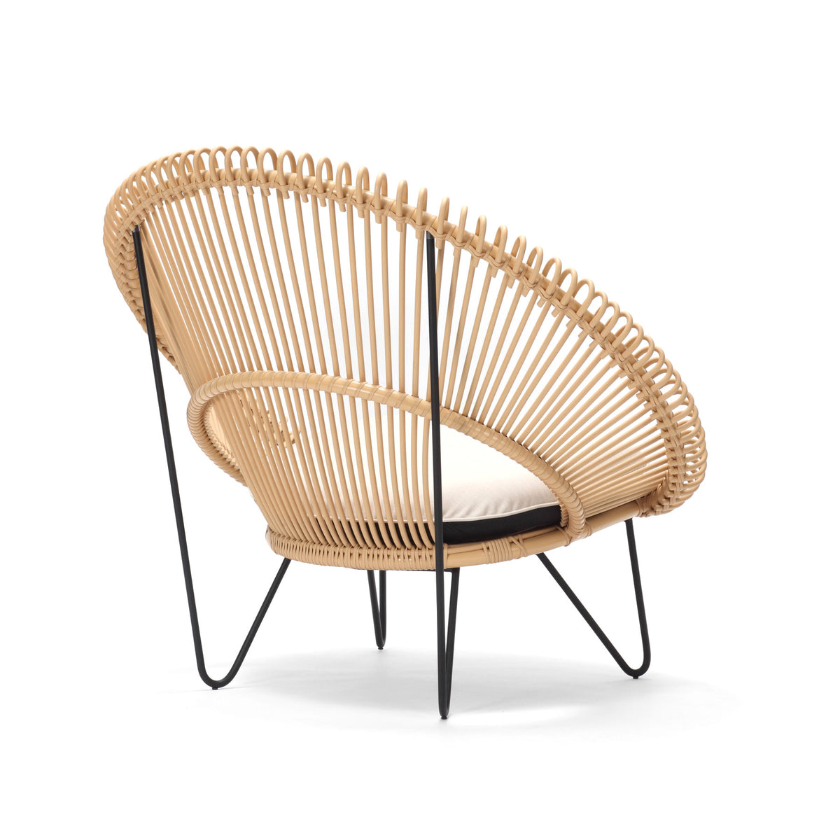 ROY COCOON CHAIR