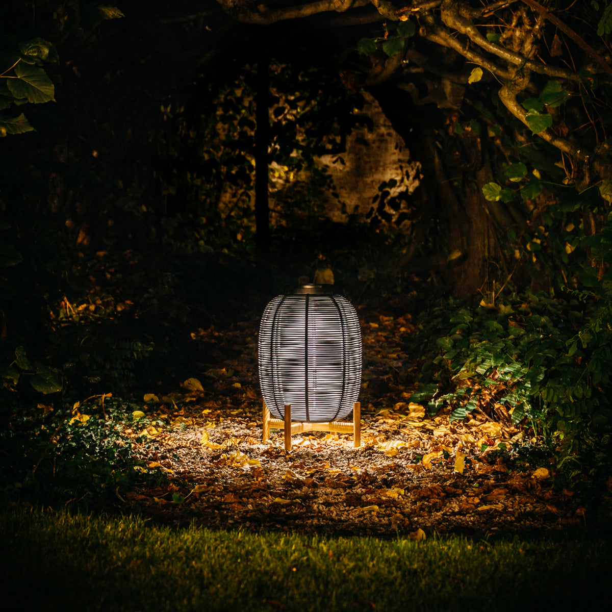 TIKA LANTERN L