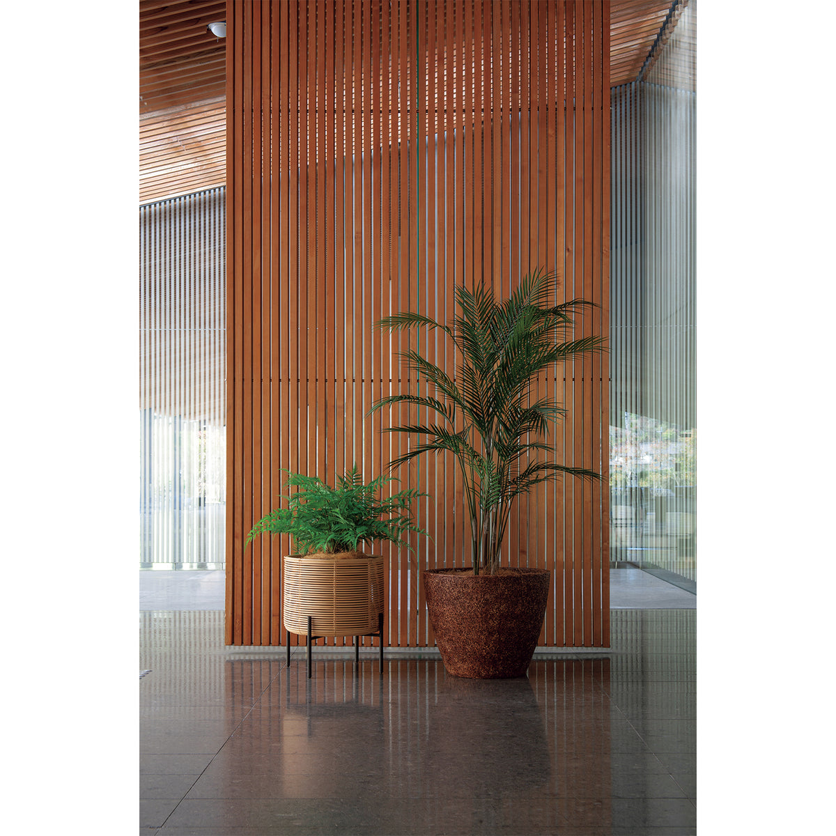 RENATA PLANTCOVER S WITH MAHAJANGA