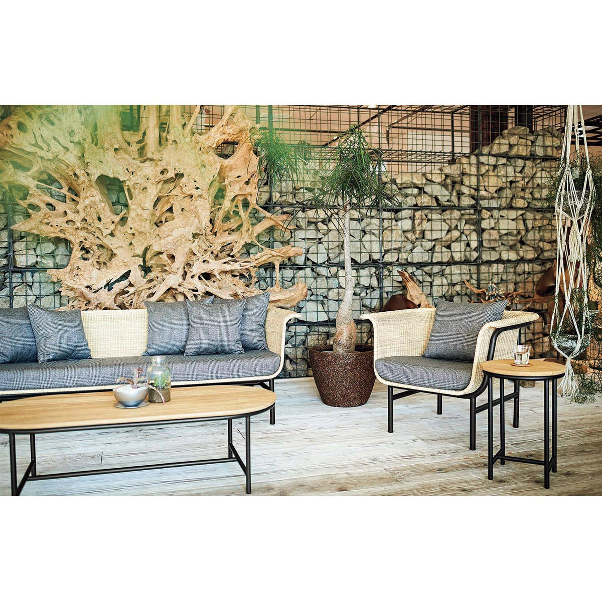 WICKED LOUNGE CHAIR-NT
