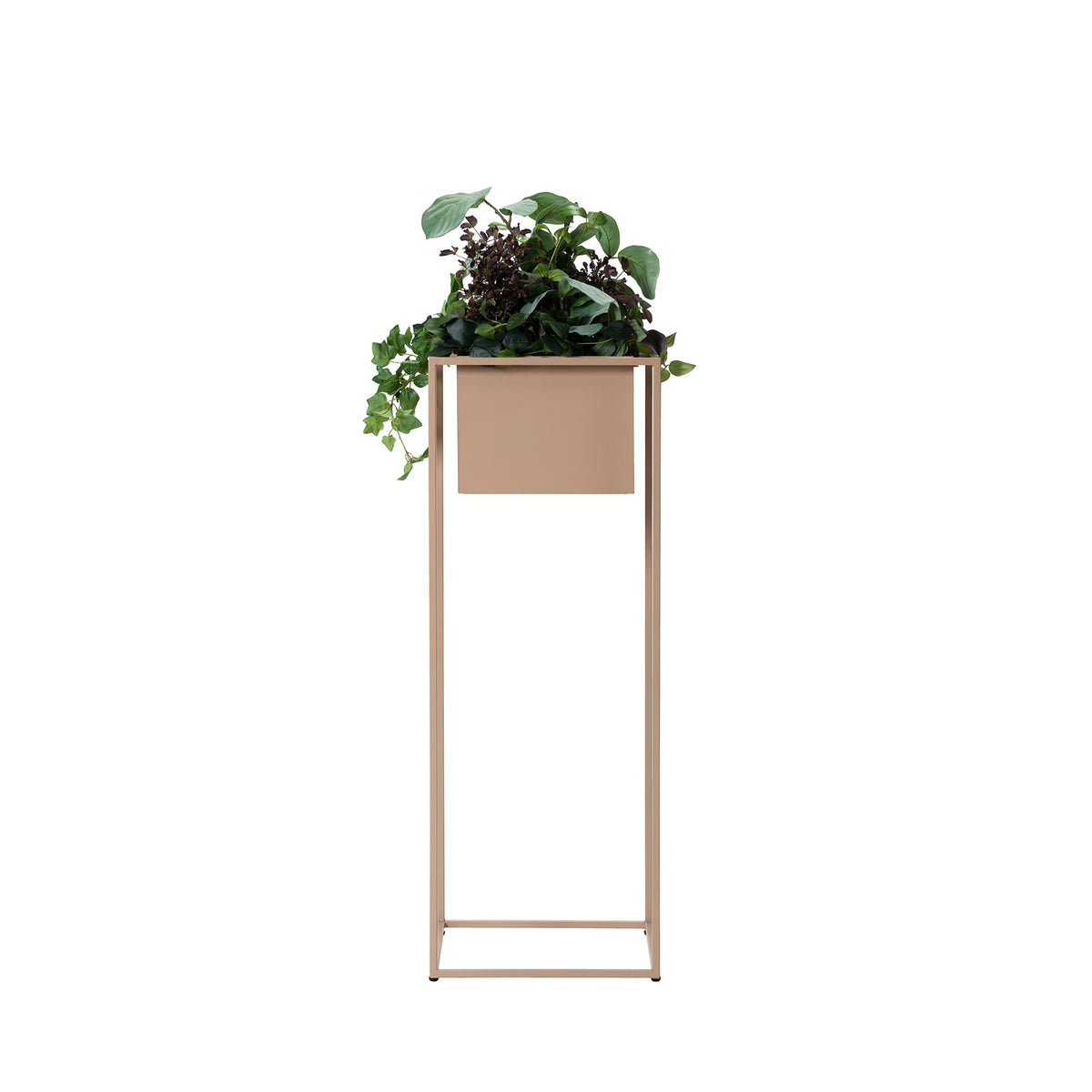 JOG PLANTCOVER L