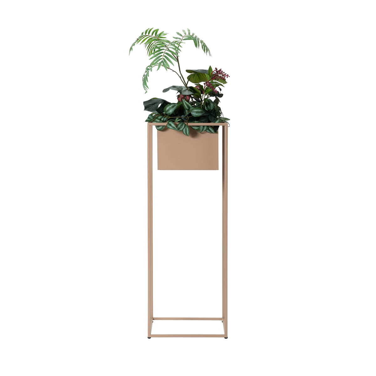 JOG PLANTCOVER L