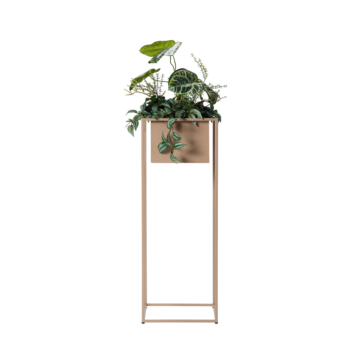 JOG PLANTCOVER L
