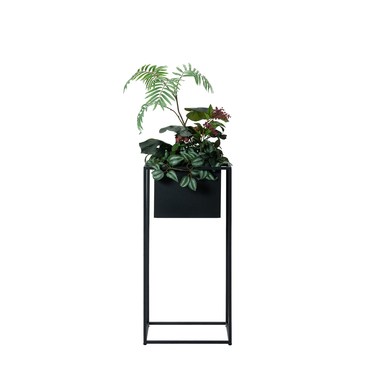 JOG PLANTCOVER M