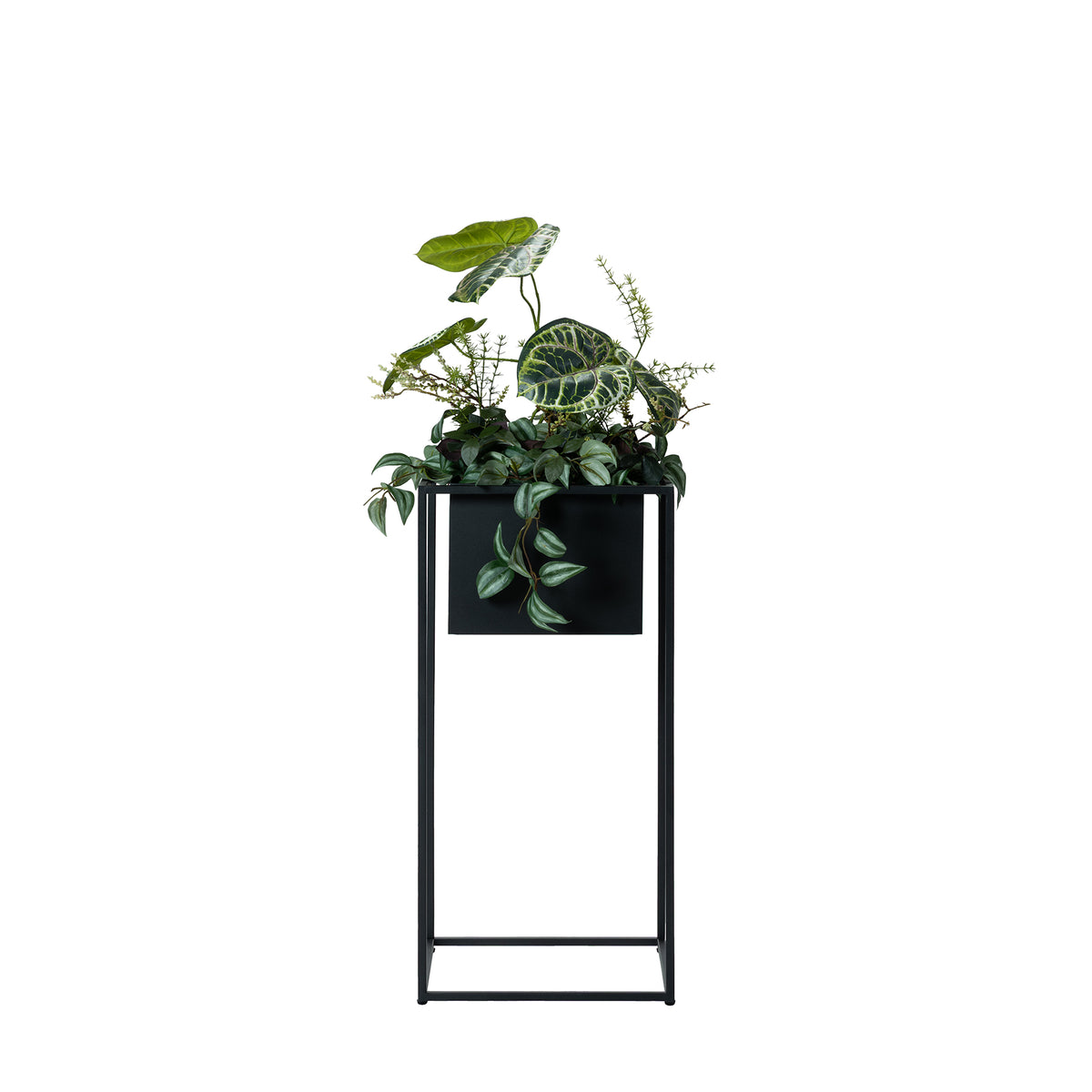 JOG PLANTCOVER M