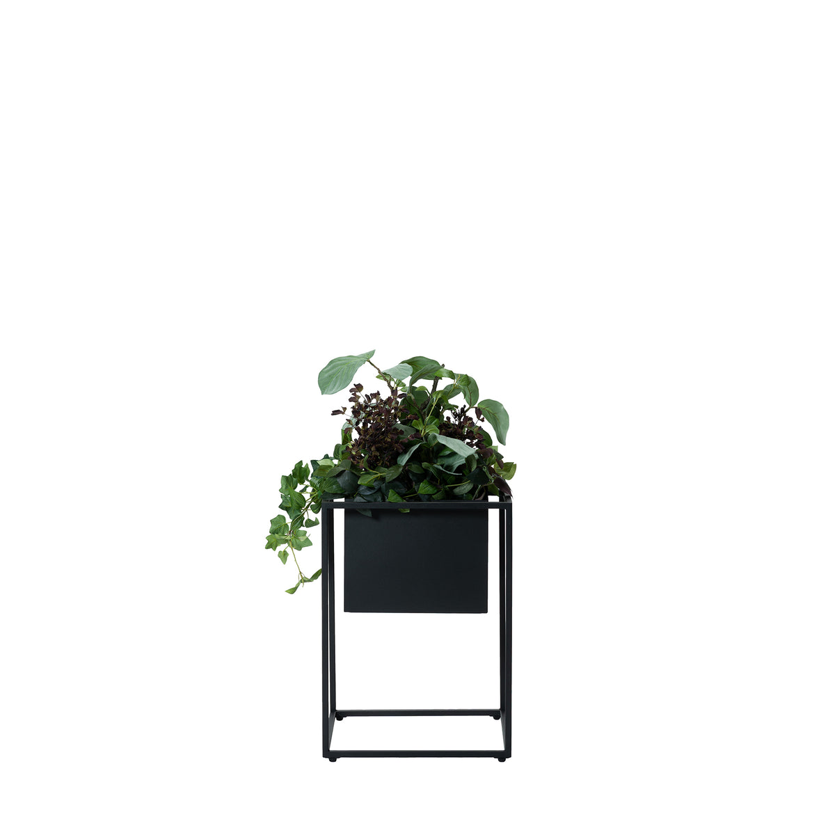 JOG PLANTCOVER S