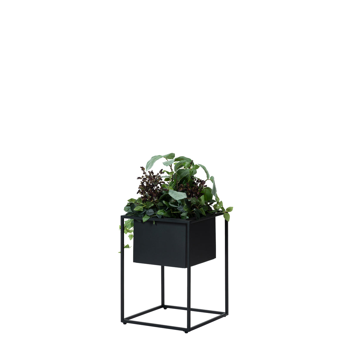JOG PLANTCOVER S