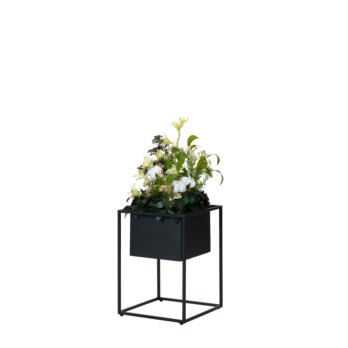 JOG PLANTCOVER S